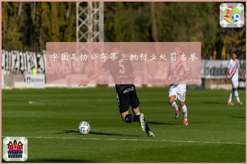 中国足协公布第三批行业处罚名单