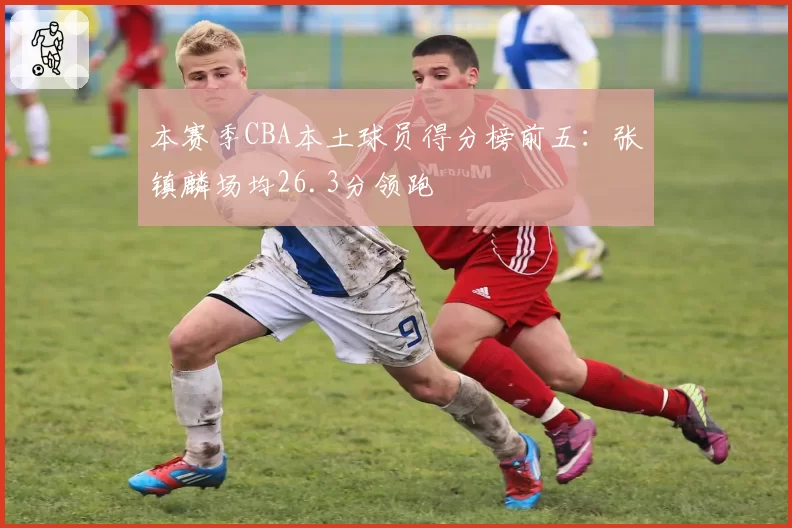 本赛季CBA本土球员得分榜前五：张镇麟场均26.3分领跑