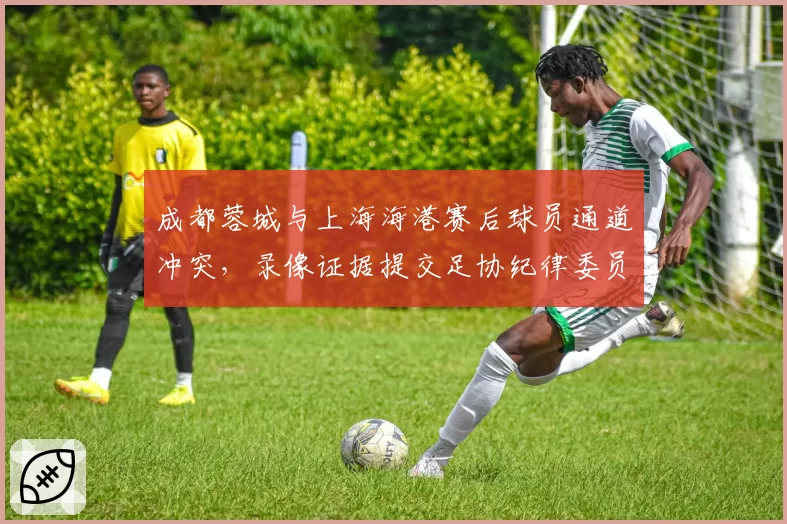 成都蓉城与上海海港赛后球员通道冲突，录像证据提交足协纪律委员会