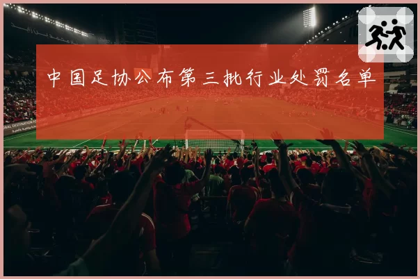 中国足协公布第三批行业处罚名单