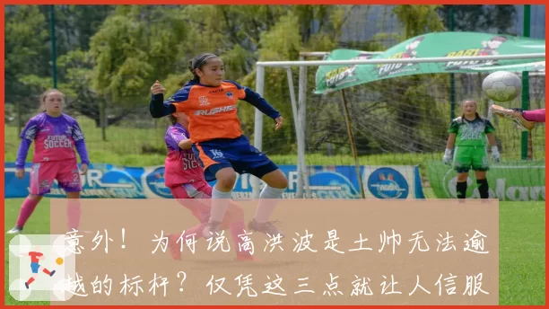 意外!为何说高洪波是土帅无法逾越的标杆?仅凭这三点就让人信服